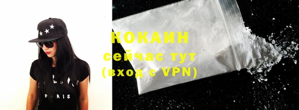 соль ск Белокуриха